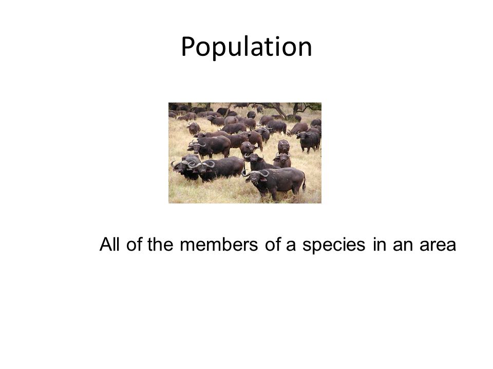 Population All of the members of a species in an area