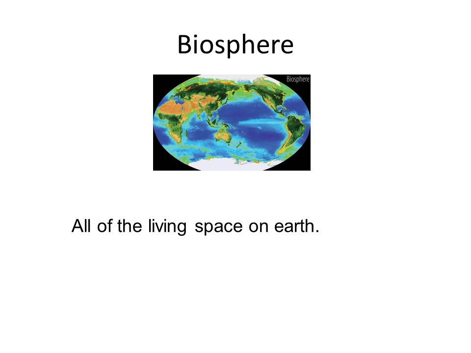 Biosphere All of the living space on earth.
