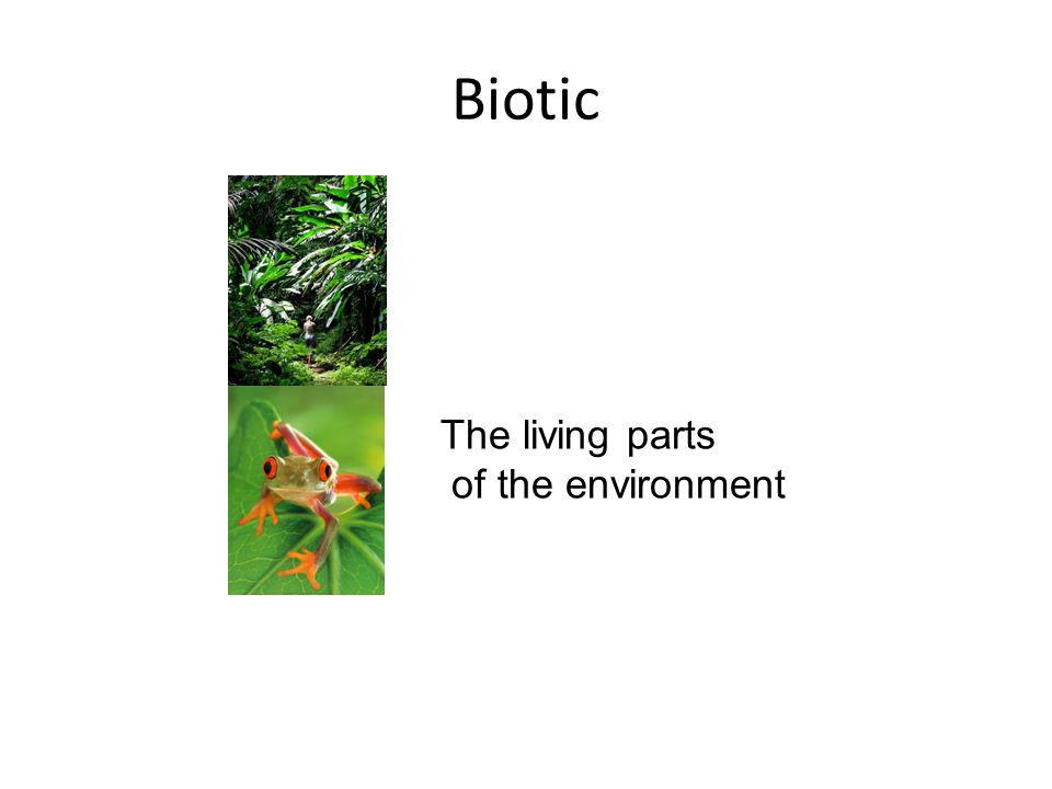Biotic The living parts of the environment
