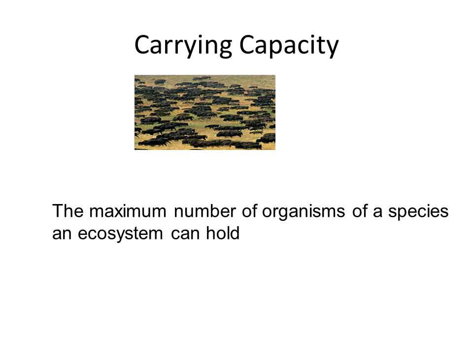 Carrying Capacity The maximum number of organisms of a species an ecosystem can hold