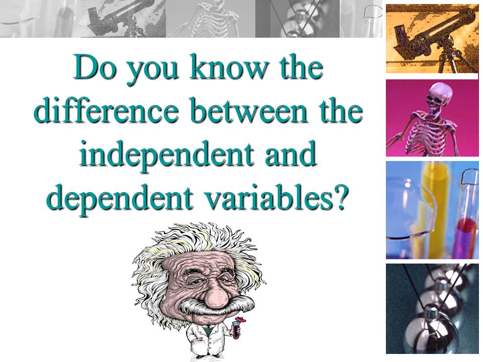 Do you know the difference between the independent and dependent variables