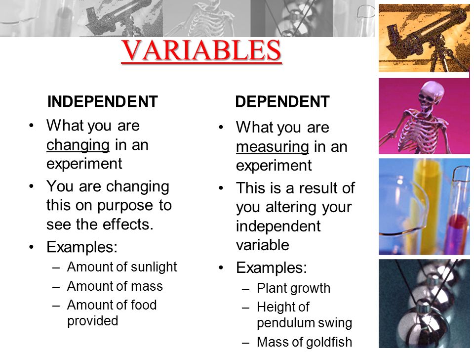 VARIABLES INDEPENDENT What you are changing in an experiment You are changing this on purpose to see the effects.