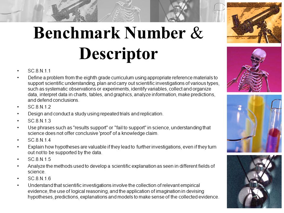 Benchmark Number & Descriptor SC.8.N.1.1 Define a problem from the eighth grade curriculum using appropriate reference materials to support scientific understanding, plan and carry out scientific investigations of various types, such as systematic observations or experiments, identify variables, collect and organize data, interpret data in charts, tables, and graphics, analyze information, make predictions, and defend conclusions.