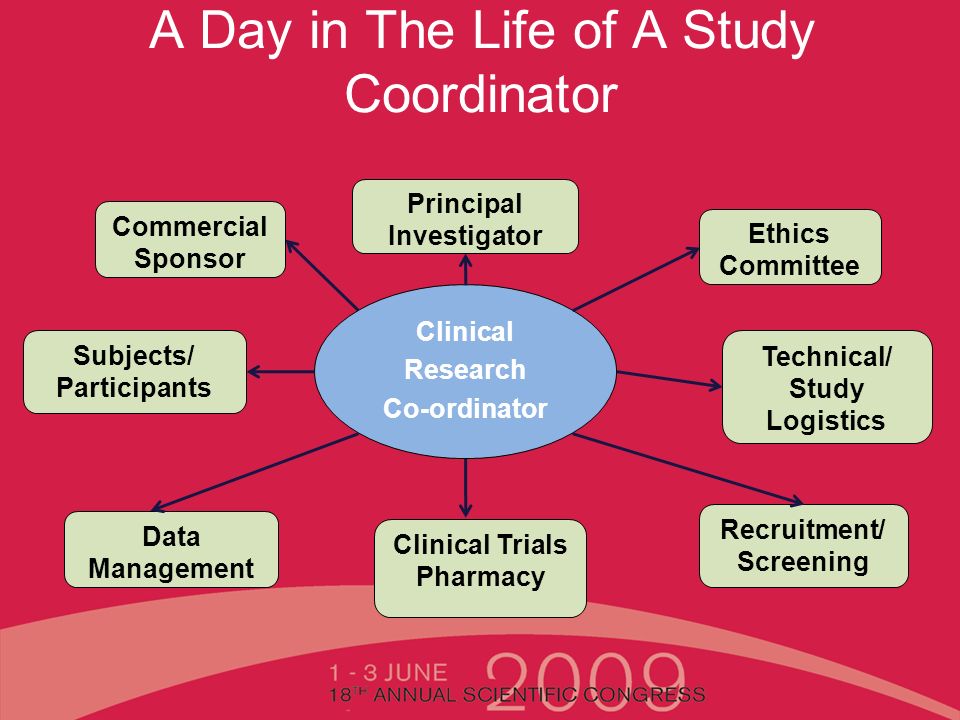 T16 Phase I studies – Phase I units and you, a Phase I unit's expectation –  A Day in the Life of a Phase I Study Coordinator Jeffery Wong, Clinical  Research. - ppt download