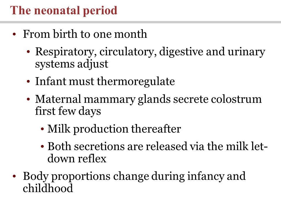 The neonatal period From birth to one month Respiratory, circulatory, digestive and urinary systems adjust Infant must thermoregulate Maternal mammary glands secrete colostrum first few days Milk production thereafter Both secretions are released via the milk let- down reflex Body proportions change during infancy and childhood