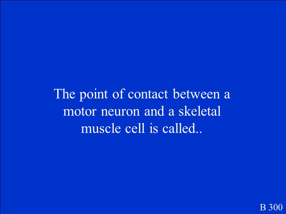 What are actin and myosin B 200