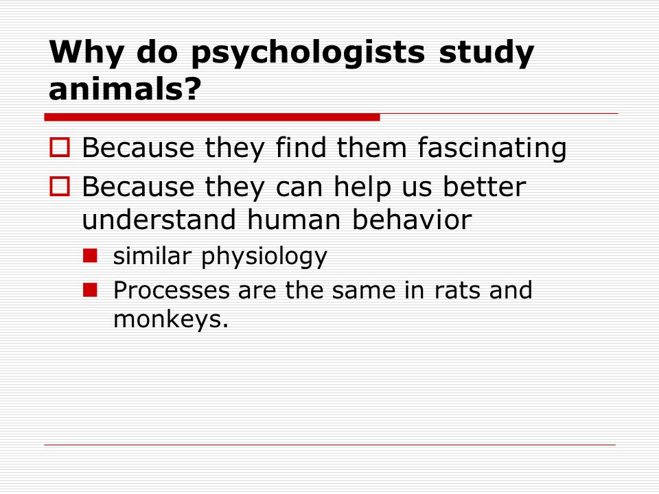 Animal Experimentation & Value Judgments AP Psychology Ms. Desgrosellier  ppt download