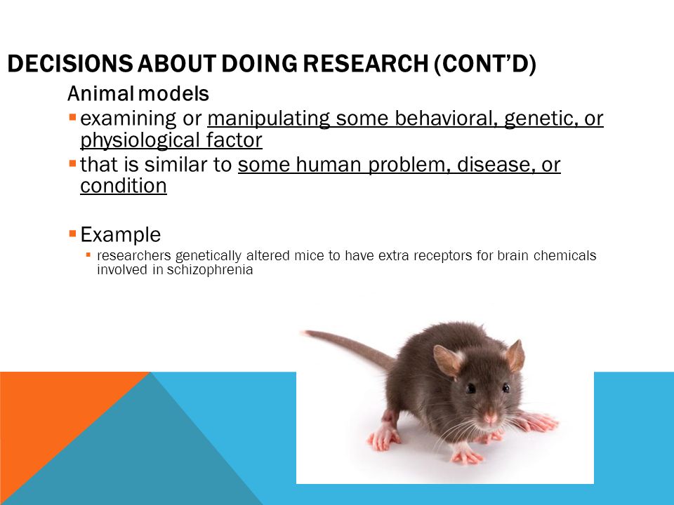 DECISIONS ABOUT DOING RESEARCH (CONT’D) Animal models  examining or manipulating some behavioral, genetic, or physiological factor  that is similar to some human problem, disease, or condition  Example  researchers genetically altered mice to have extra receptors for brain chemicals involved in schizophrenia