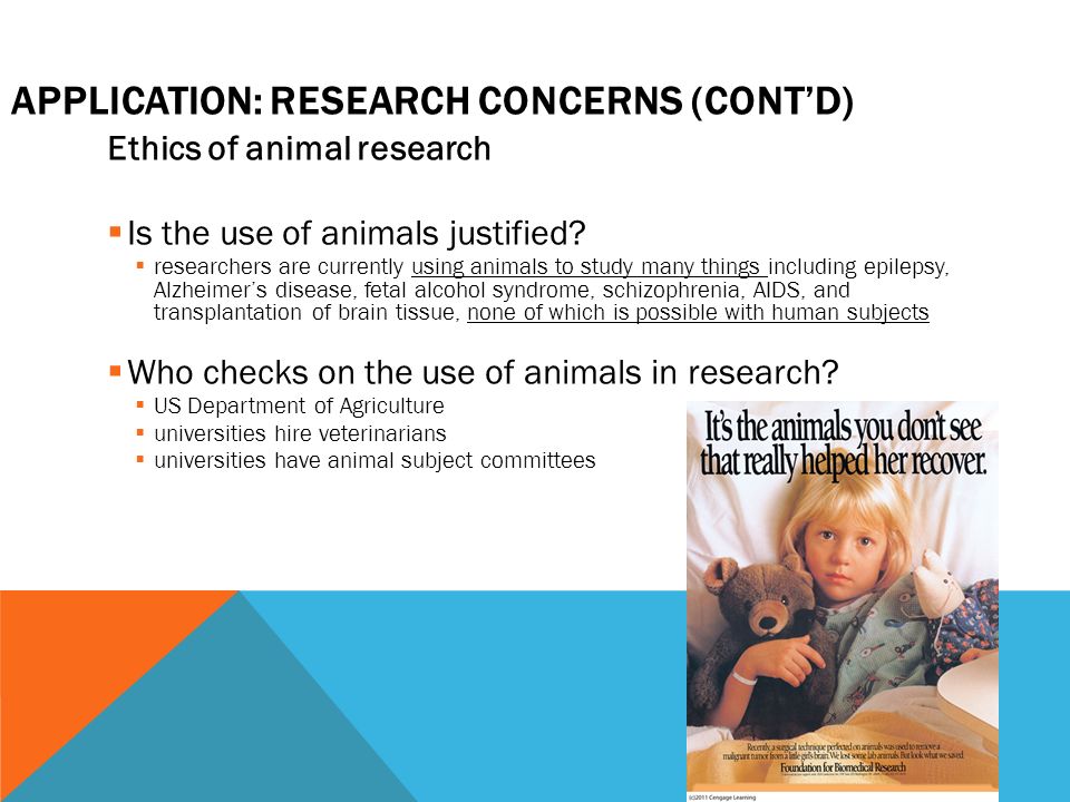 APPLICATION: RESEARCH CONCERNS (CONT’D) Ethics of animal research  Is the use of animals justified.