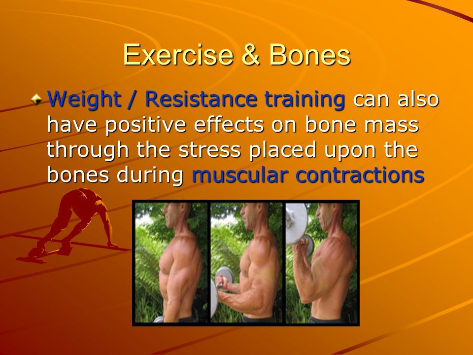 Exercise & Bones Weight / Resistance training can also have positive effects on bone mass through the stress placed upon the bones during muscular contractions