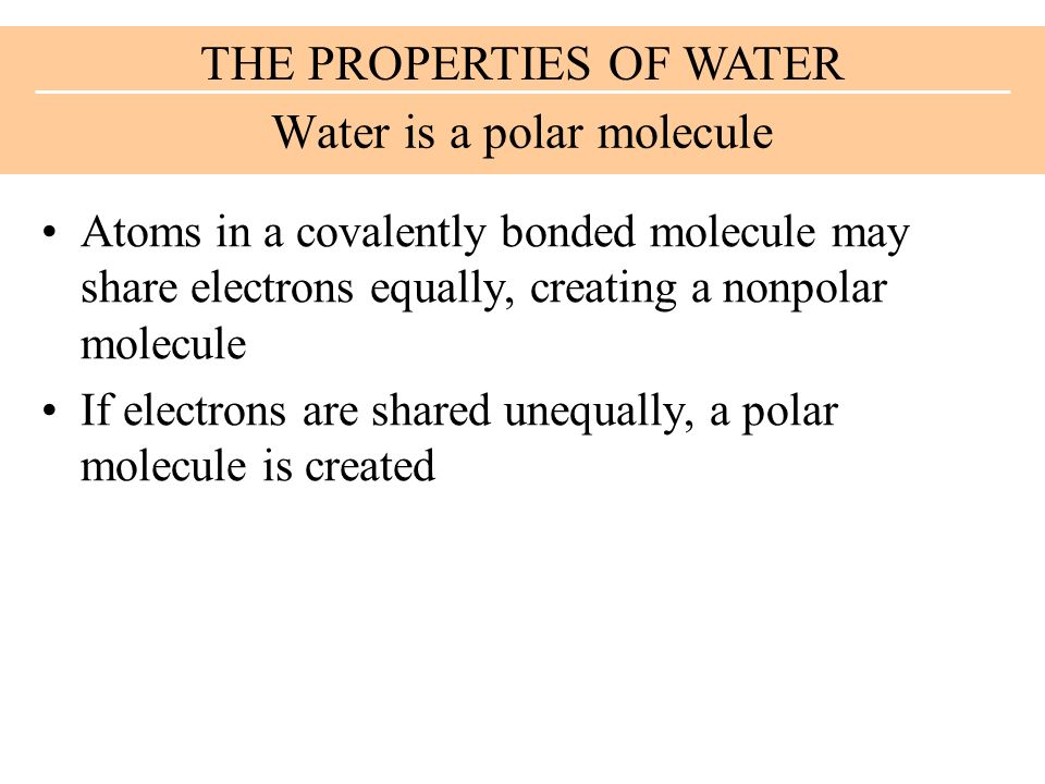 Atoms in a covalently bonded molecule may share electrons equally, creating a nonpolar molecule If electrons are shared unequally, a polar molecule is created Water is a polar molecule THE PROPERTIES OF WATER