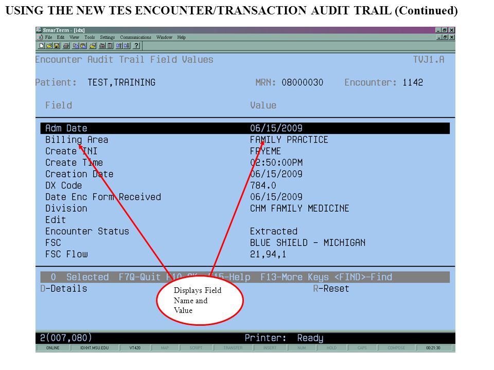 Displays Field Name and Value