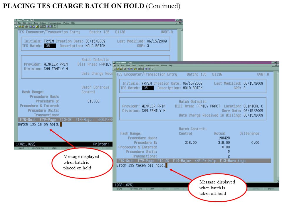 Message displayed when batch is placed on hold Message displayed when batch is taken off hold PLACING TES CHARGE BATCH ON HOLD (Continued)