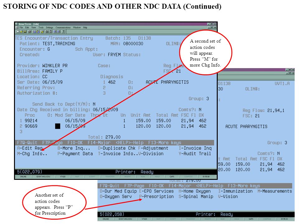 STORING OF NDC CODES AND OTHER NDC DATA (Continued) A second set of action codes will appear.