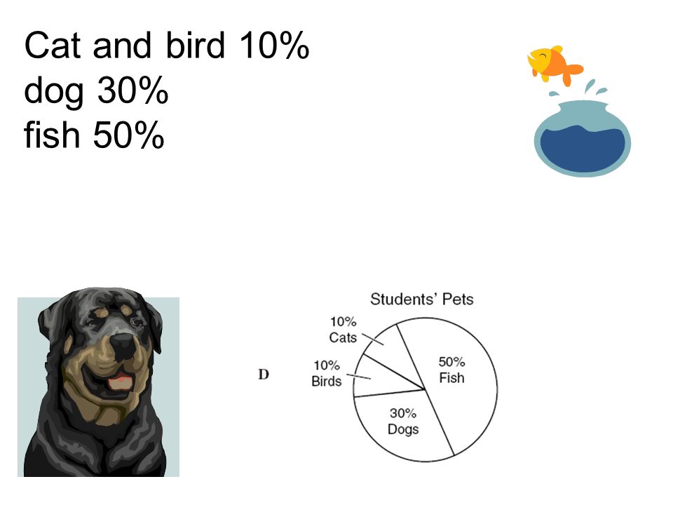 Cat and bird 10% dog 30% fish 50%