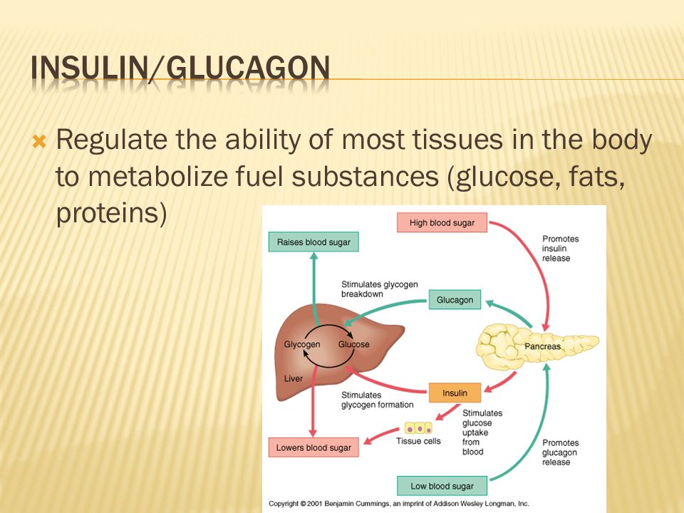  Regulate the ability of most tissues in the body to metabolize fuel substances (glucose, fats, proteins)