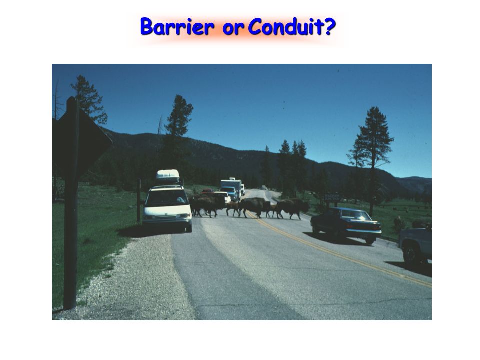 Barrier or Conduit