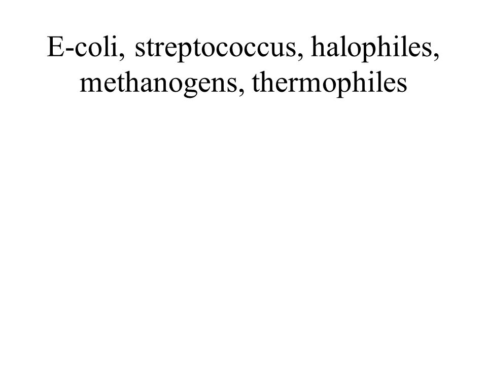 E-coli, streptococcus, halophiles, methanogens, thermophiles