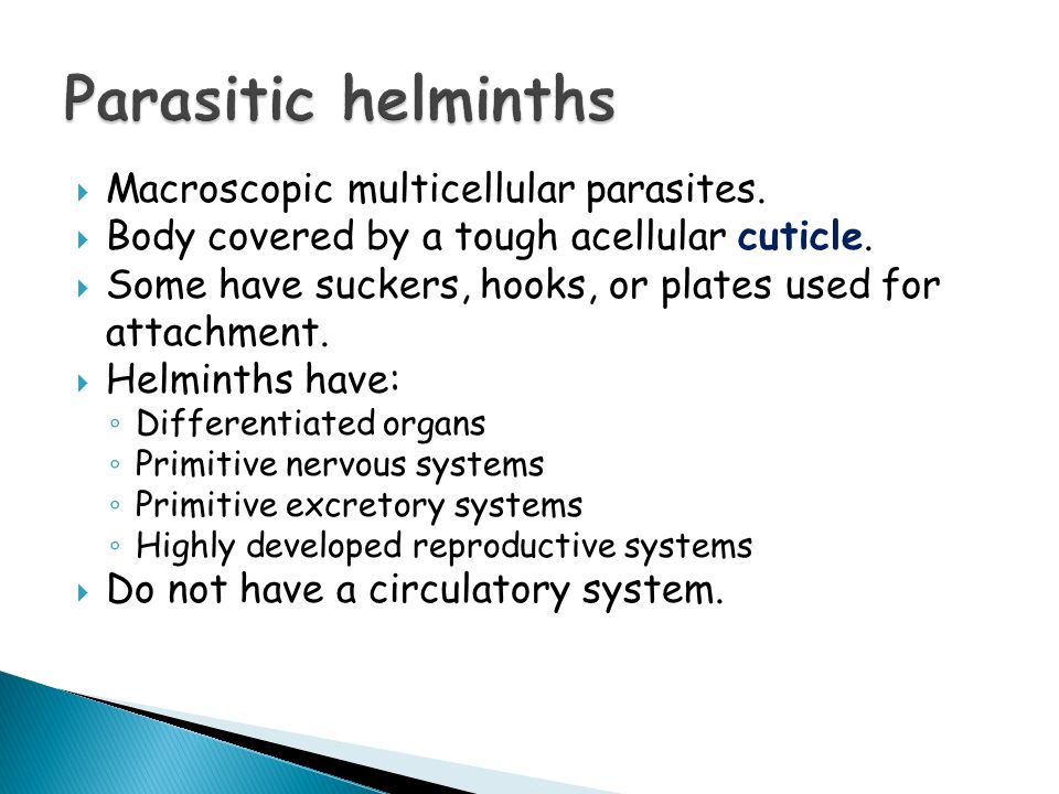 Parasitic helminths life cycle, Helminthic therapy multiple sclerosis. Nokia N9 - hry