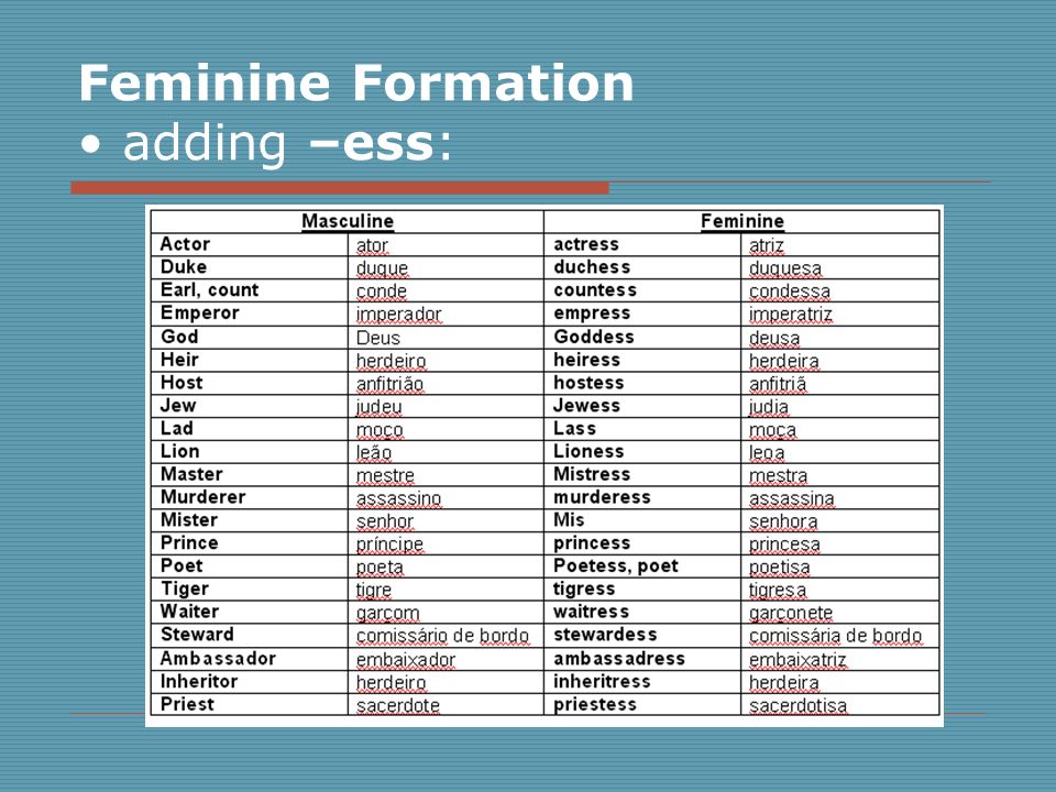 Feminine Formation adding –ess: