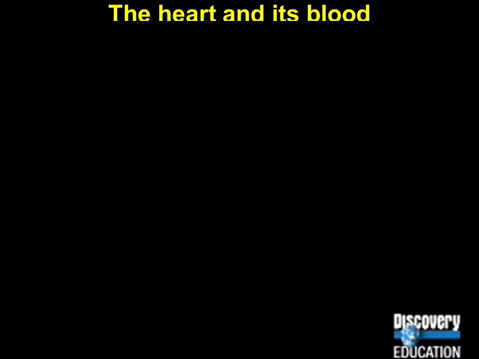 Essentials of Human Anatomy & Physiology Copyright © 2003 Pearson Education, Inc. publishing as Benjamin Cummings Slides 10.1... 