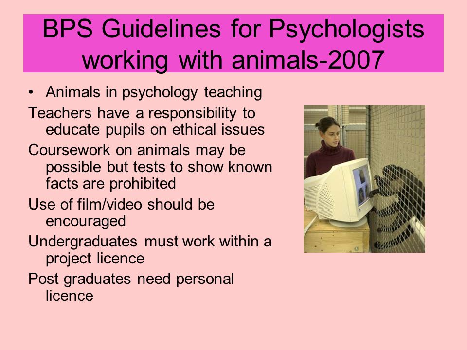 BPS Guidelines for Psychologists working with animals ppt download