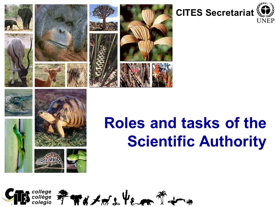 1 Roles and tasks of the Scientific Authority CITES Secretariat