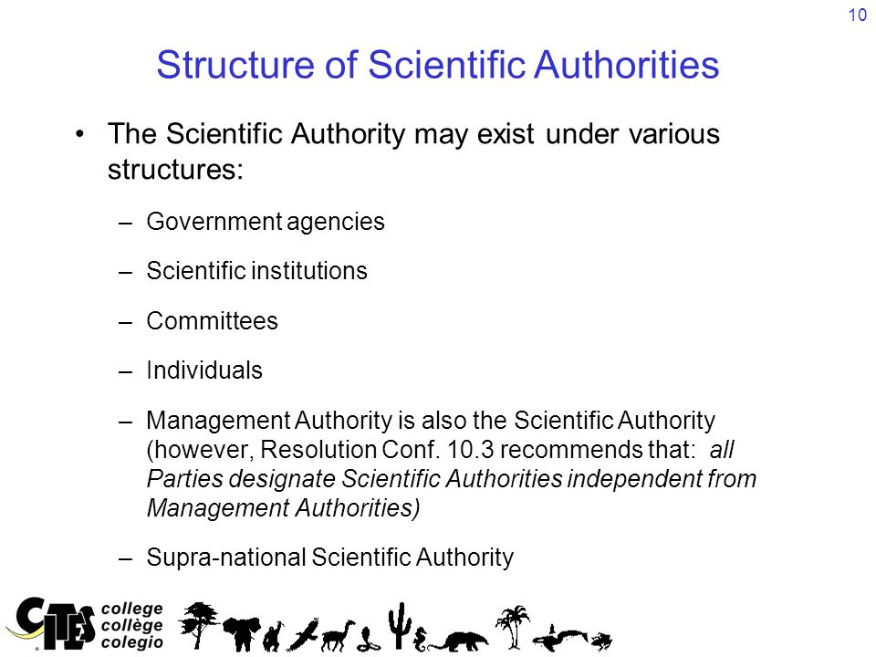 10 Structure of Scientific Authorities The Scientific Authority may exist under various structures: –Government agencies –Scientific institutions –Committees –Individuals –Management Authority is also the Scientific Authority (however, Resolution Conf.