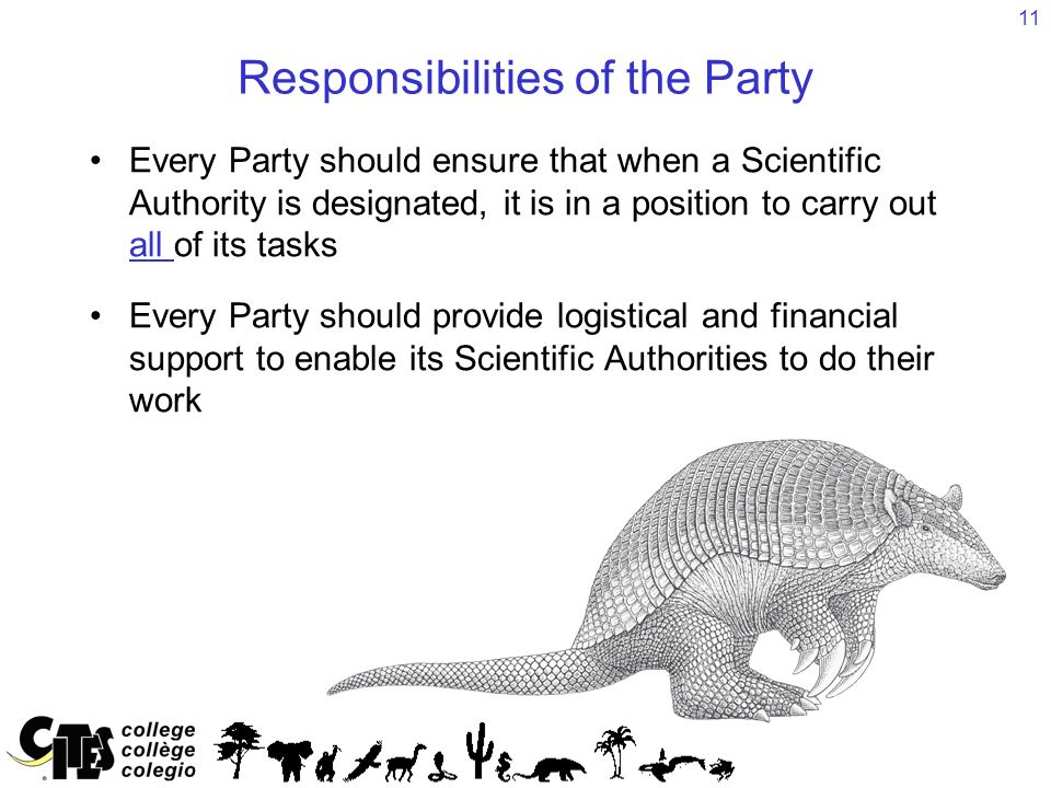 11 Responsibilities of the Party Every Party should ensure that when a Scientific Authority is designated, it is in a position to carry out all of its tasks Every Party should provide logistical and financial support to enable its Scientific Authorities to do their work