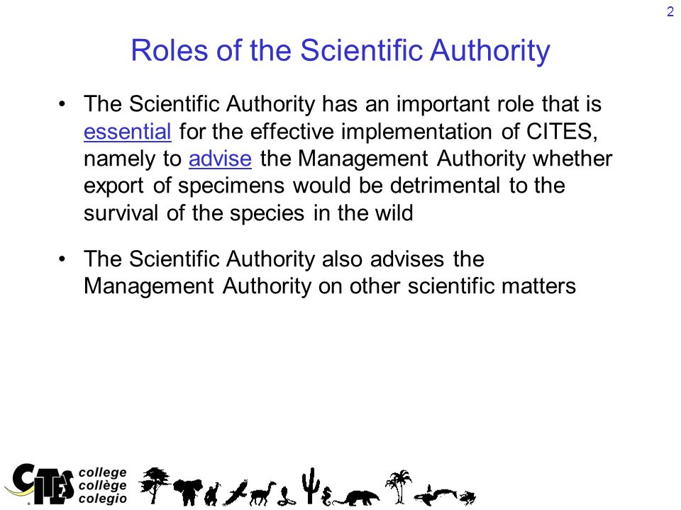2 Roles of the Scientific Authority The Scientific Authority has an important role that is essential for the effective implementation of CITES, namely to advise the Management Authority whether export of specimens would be detrimental to the survival of the species in the wild The Scientific Authority also advises the Management Authority on other scientific matters