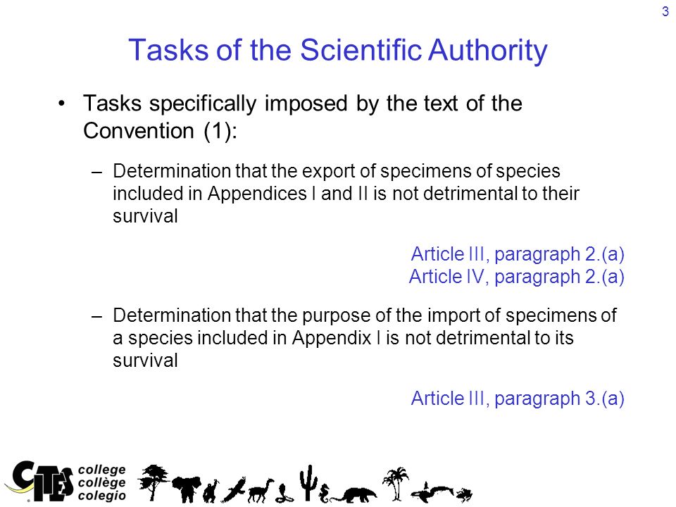 3 Tasks of the Scientific Authority Tasks specifically imposed by the text of the Convention (1): –Determination that the export of specimens of species included in Appendices I and II is not detrimental to their survival Article III, paragraph 2.(a) Article IV, paragraph 2.(a) –Determination that the purpose of the import of specimens of a species included in Appendix I is not detrimental to its survival Article III, paragraph 3.(a)