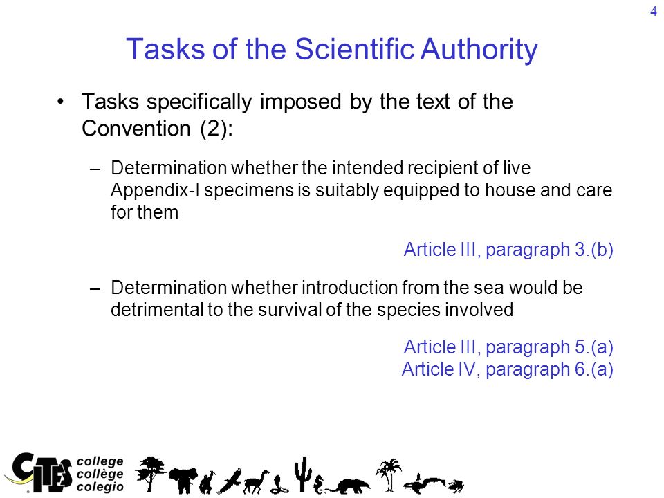 4 Tasks of the Scientific Authority Tasks specifically imposed by the text of the Convention (2): –Determination whether the intended recipient of live Appendix-I specimens is suitably equipped to house and care for them Article III, paragraph 3.(b) –Determination whether introduction from the sea would be detrimental to the survival of the species involved Article III, paragraph 5.(a) Article IV, paragraph 6.(a)
