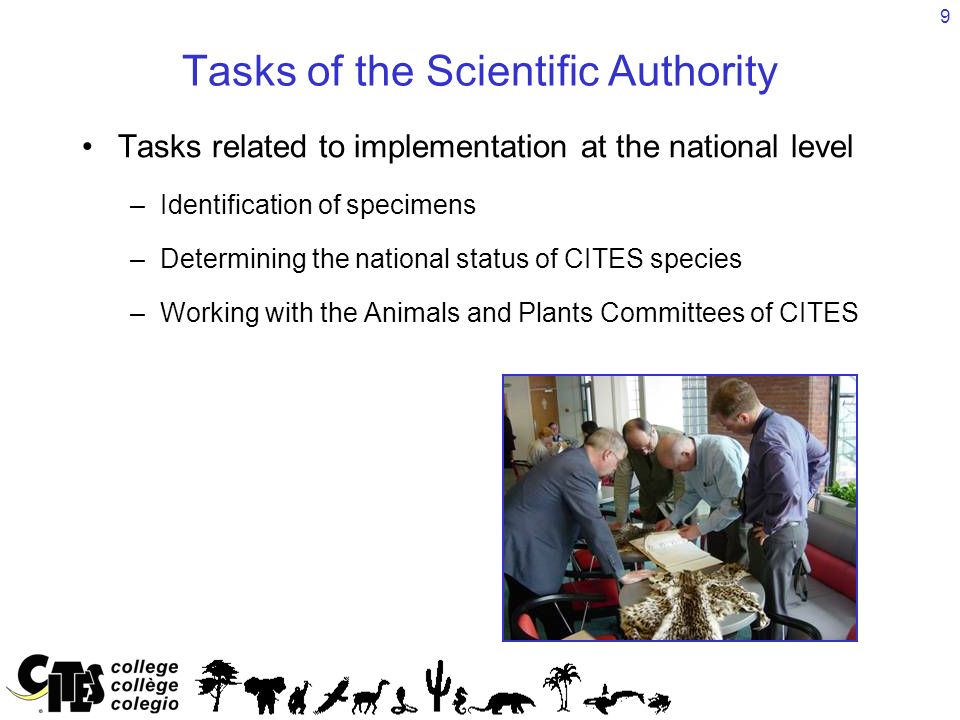 9 Tasks of the Scientific Authority Tasks related to implementation at the national level –Identification of specimens –Determining the national status of CITES species –Working with the Animals and Plants Committees of CITES