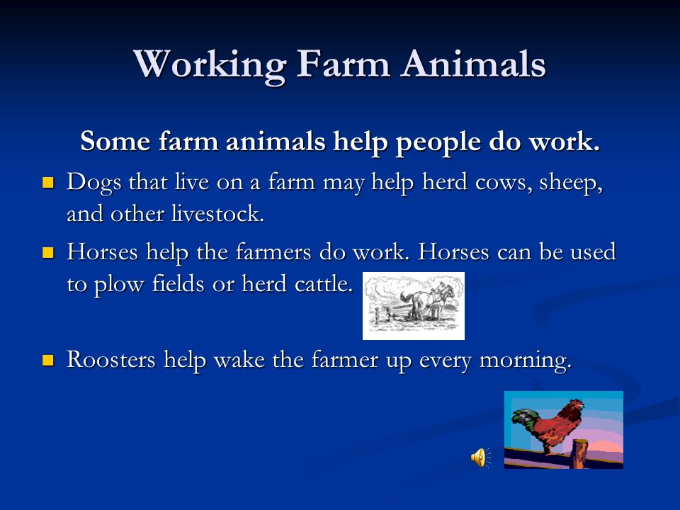 Farm Animals Karen S. James Farm Animals Farm animals help us to work, eat,  and play. - ppt download