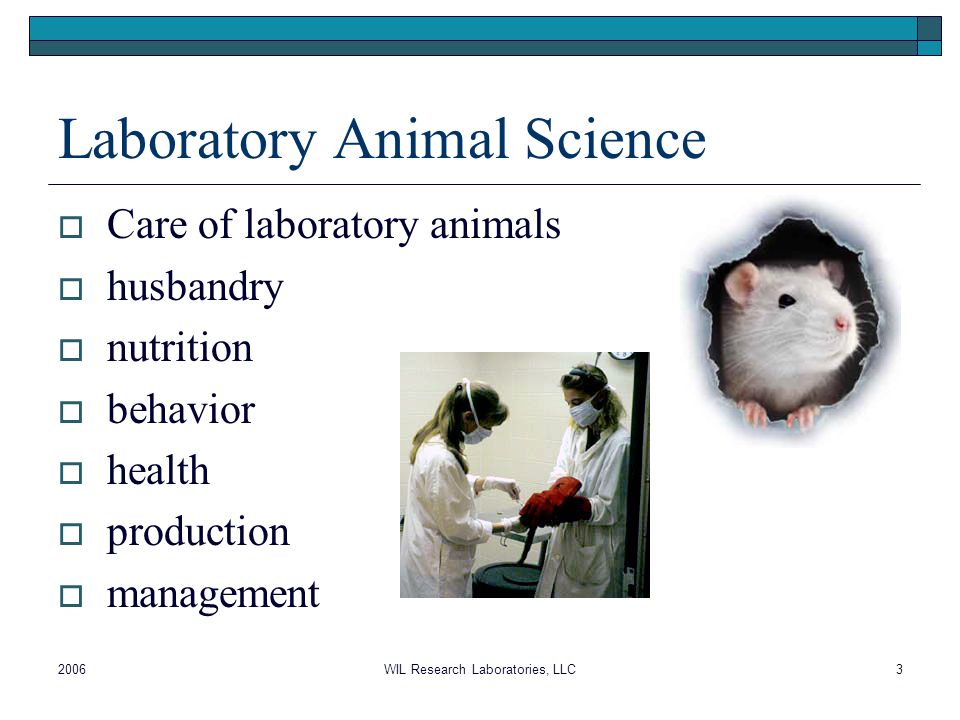 2006WIL Research Laboratories, LLC 1 Unit One – Introduction to Laboratory  Animal Care. - ppt download