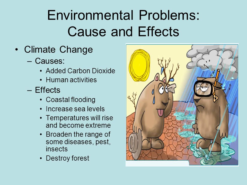 United States Environmental Issues Review Of Environmental Issues Causes And Effects Ppt Download