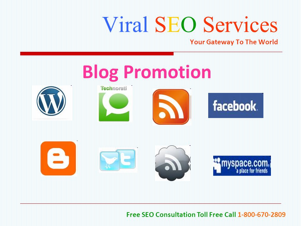 Viral SEO Services Your Gateway To The World Free SEO Consultation Toll Free Call Blog Promotion