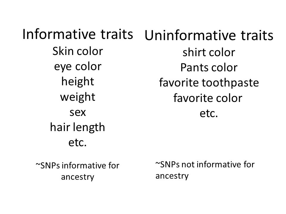 Informative traits Skin color eye color height weight sex hair length etc.