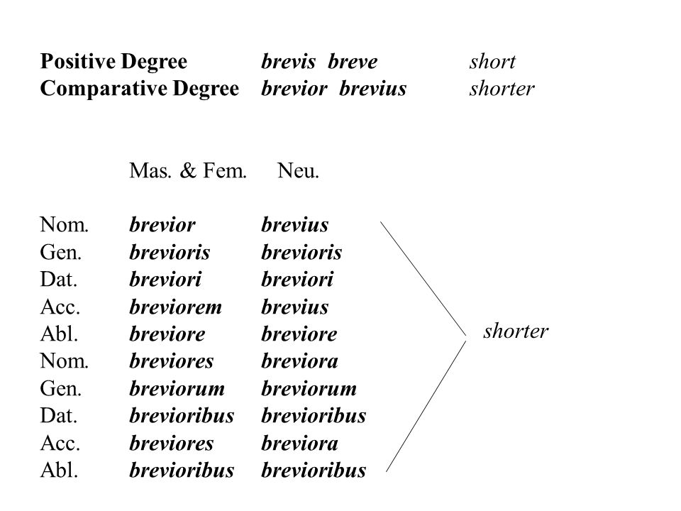 Positive Degree Adjectives 1st and 2nd Declension Adjectives fidus ...