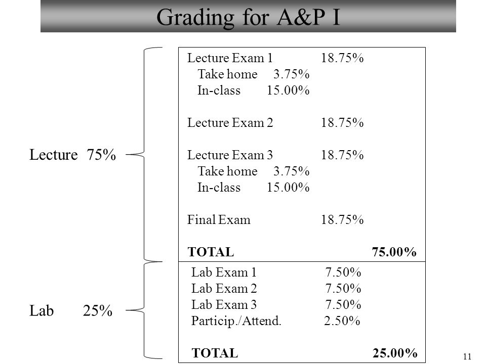 a&p lab exam 1