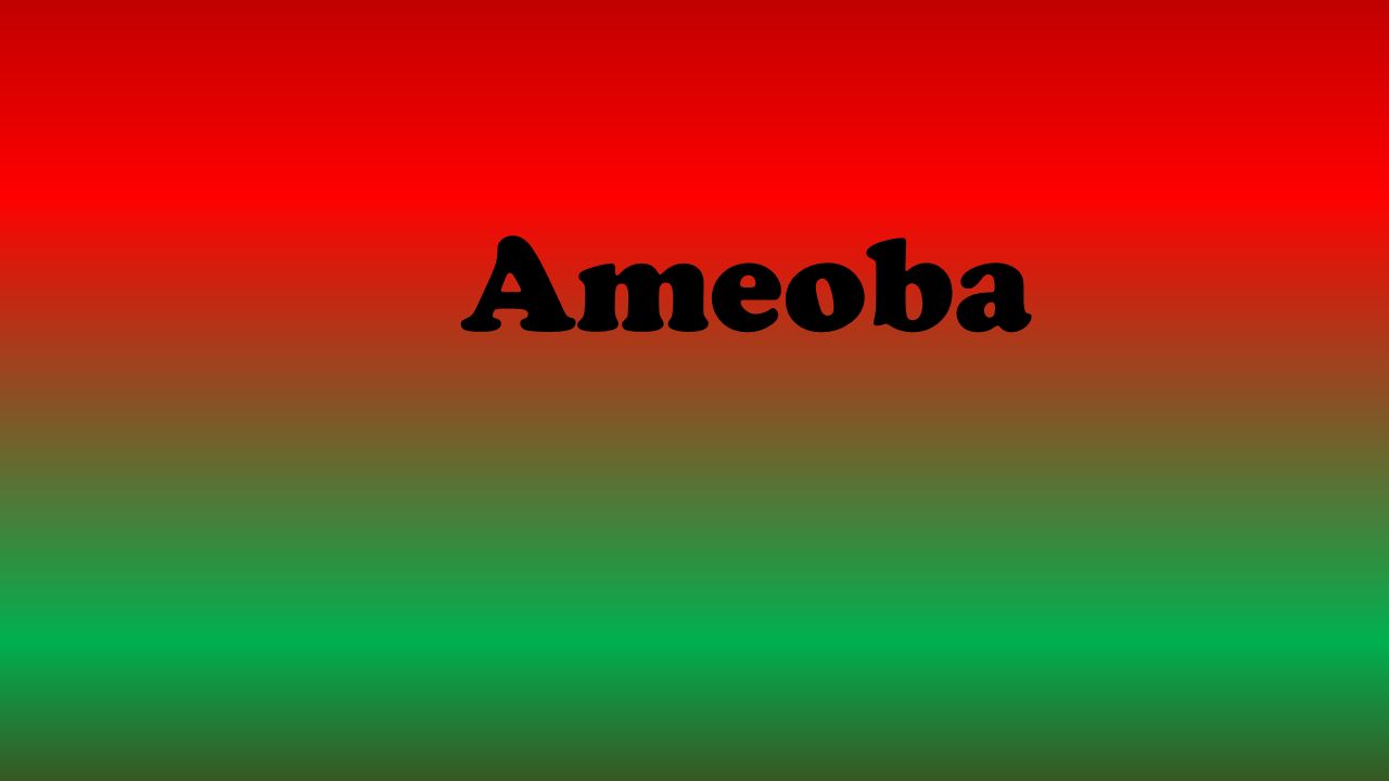 Ameoba