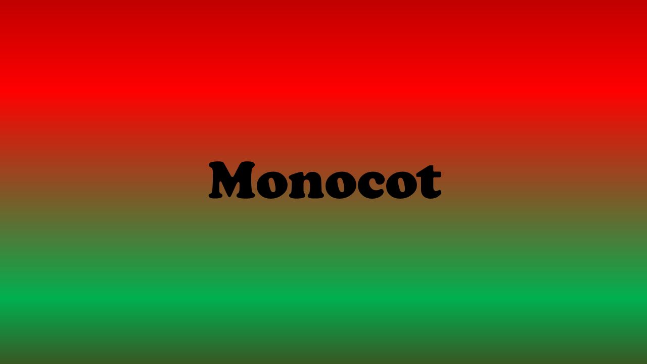 Monocot