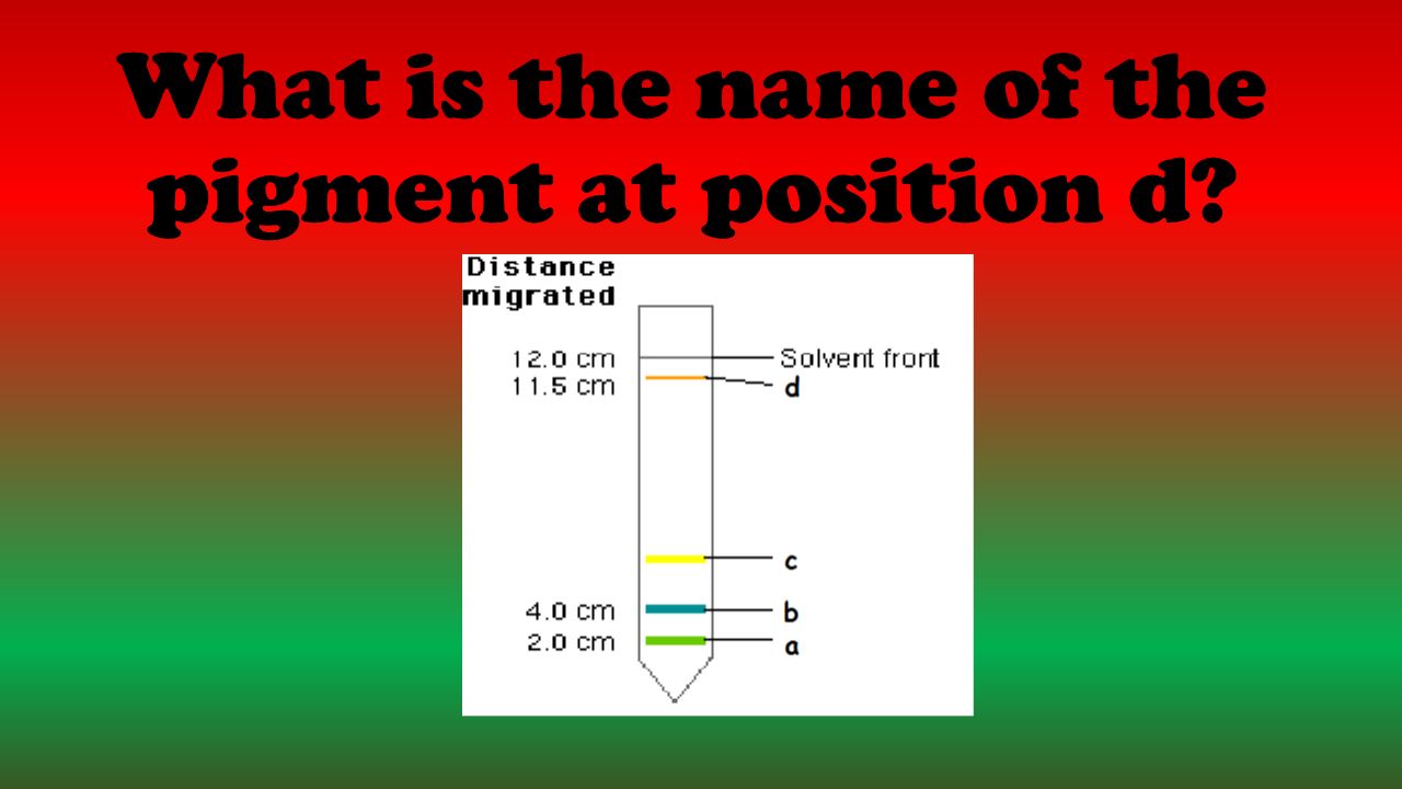 What is the name of the pigment at position d