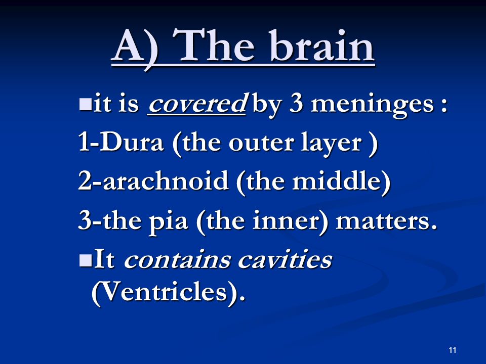 11 A) The brain it is covered by 3 meninges : it is covered by 3 meninges : 1-Dura (the outer layer ) 2-arachnoid (the middle) 3-the pia (the inner) matters.