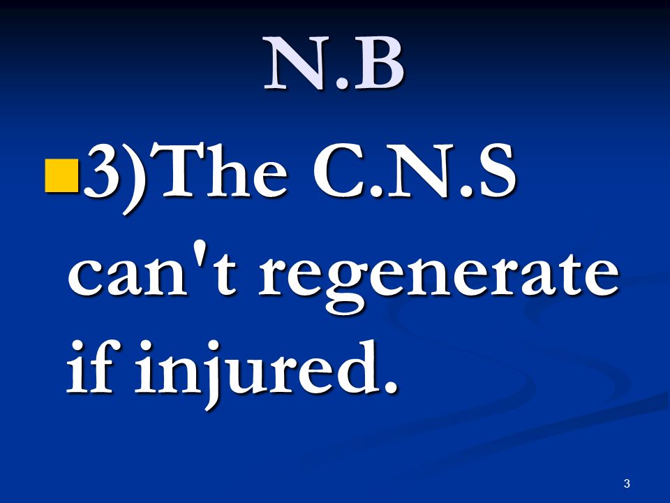 3 N.B 3)The C.N.S can t regenerate if injured. 3)The C.N.S can t regenerate if injured.