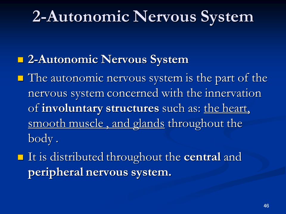 46 2-Autonomic Nervous System 2-Autonomic Nervous System 2-Autonomic Nervous System The autonomic nervous system is the part of the nervous system concerned with the innervation of involuntary structures such as: the heart, smooth muscle, and glands throughout the body.