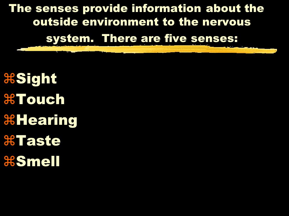 The senses provide information about the outside environment to the nervous system.