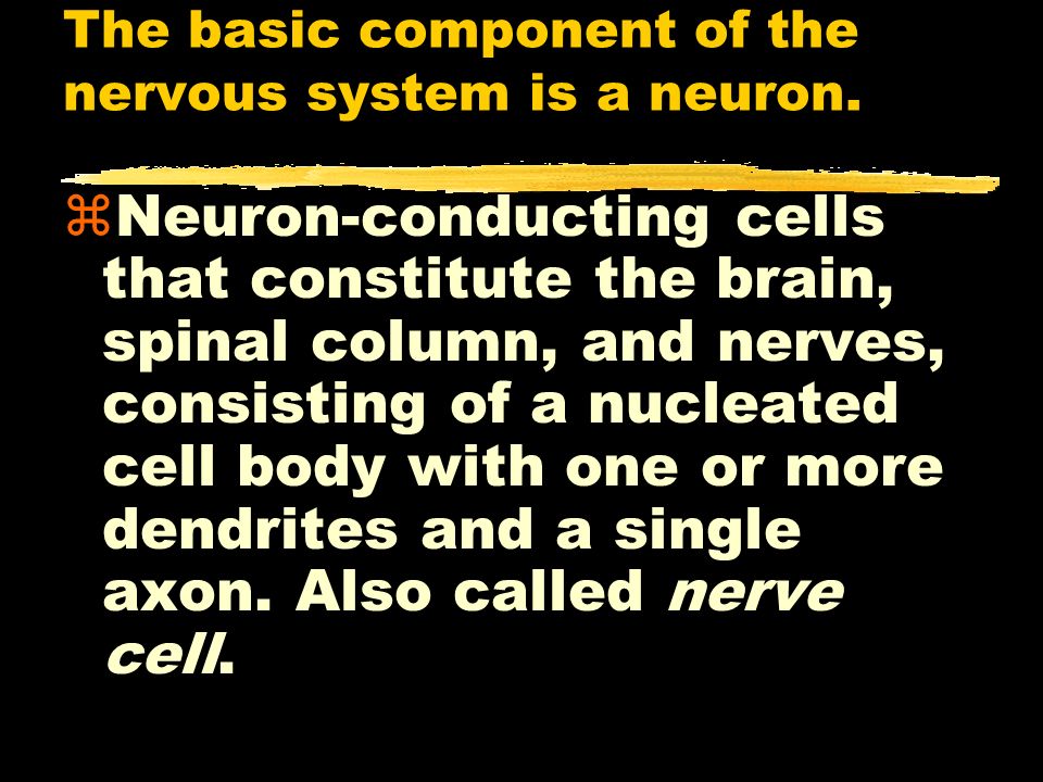The basic component of the nervous system is a neuron.