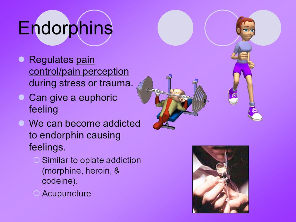 Эндорфин энди. Эндорфин презентация. The Endorphin Effect. Endorphin текст.