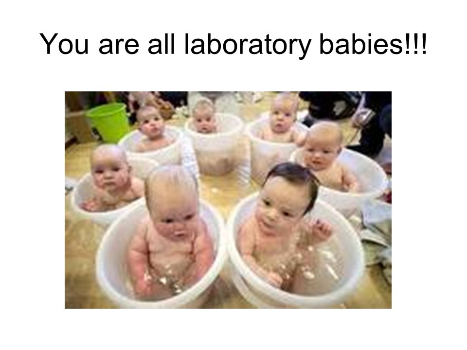 You are all laboratory babies!!!